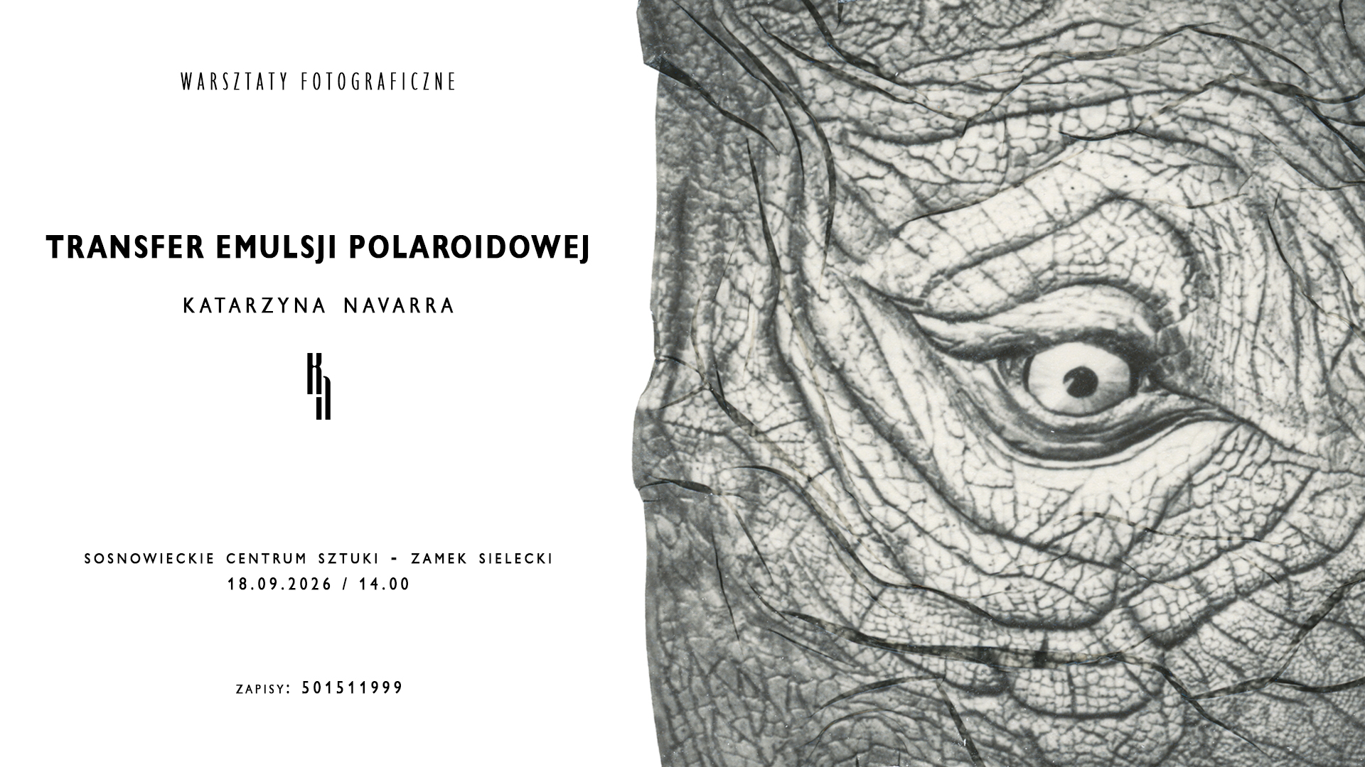 grafika warsztatow 3