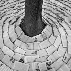 spirala kamil myszkowski