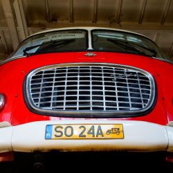 fot. joanna bratko litynska.