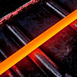 fot. wieslawa stawarz.