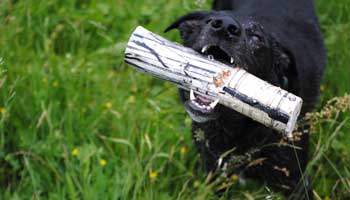 _Krzysztof Kula - POLIPTYK_